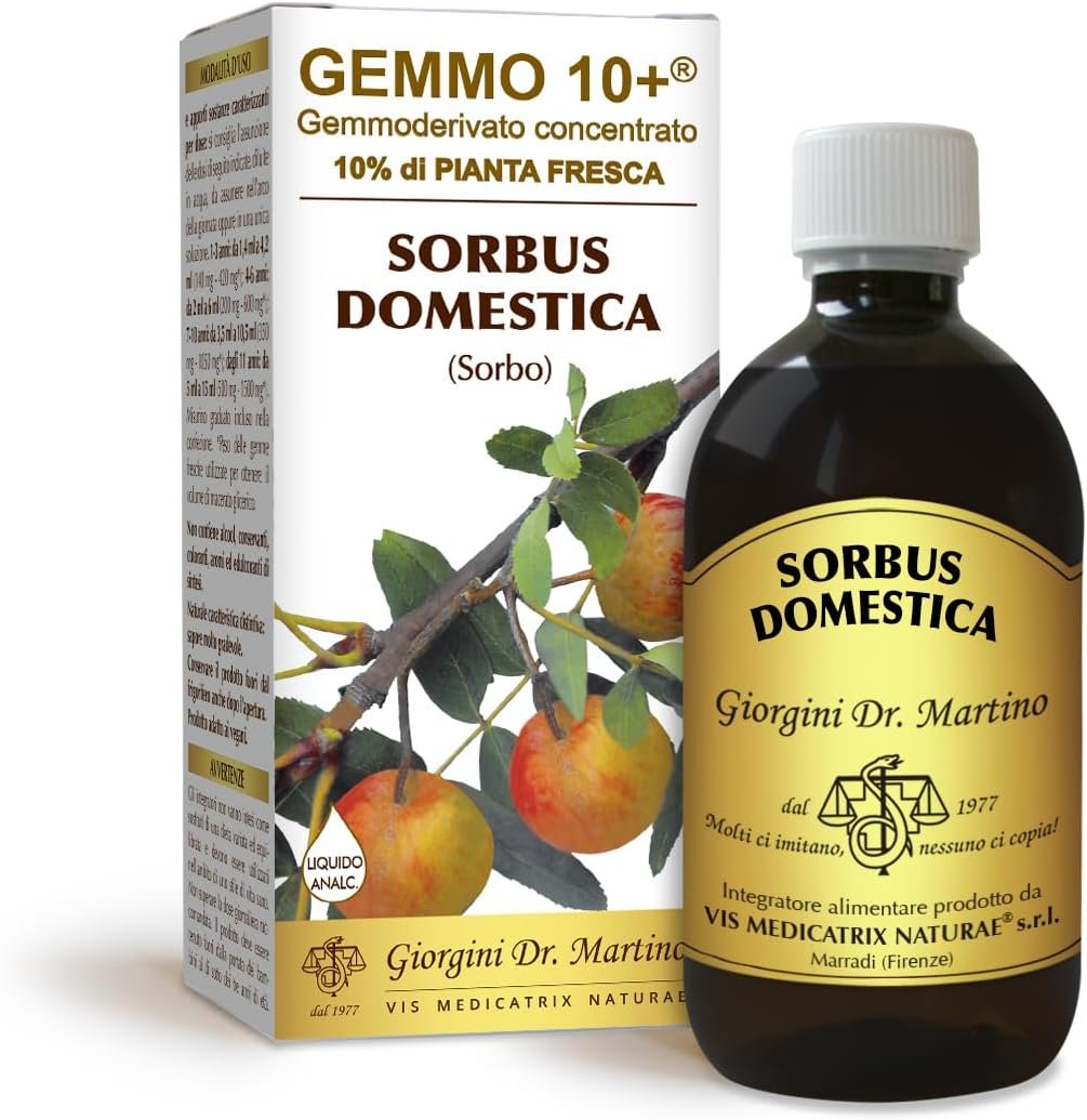 Apple iPad Air 11” con chip M3: Apple Intelligence, 128 GB, fotocamera frontale e posteriore da 12MP, Wi-Fi 6E, Touch ID, un giorno intero di batteria — Azzurro