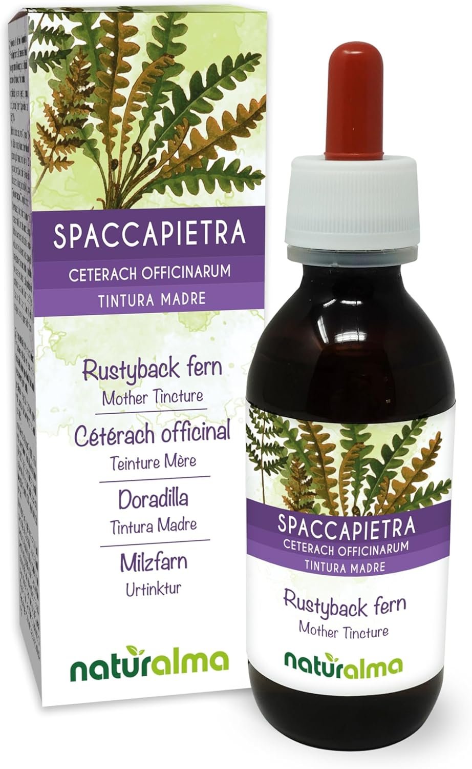 Il nome della rosa: Nuova edizione con i disegni e gli appunti preparatori dell’autore