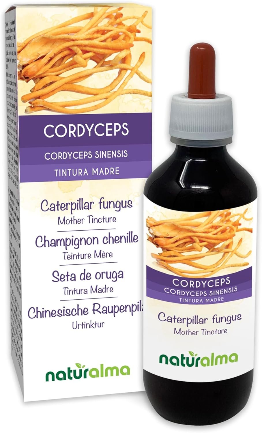 Canon PIXMA TS3351 – Stampante multifunzione a getto d’inchiostro a colori (stampa, scansione, copia, display LCD da 3,8 cm, WLAN, Print App, 4800 x 1200 Dpi), colore: Bianco