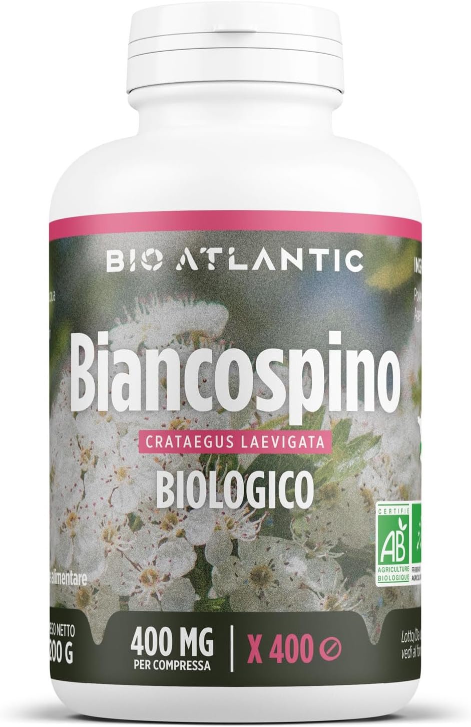 La sinagoga degli zingari