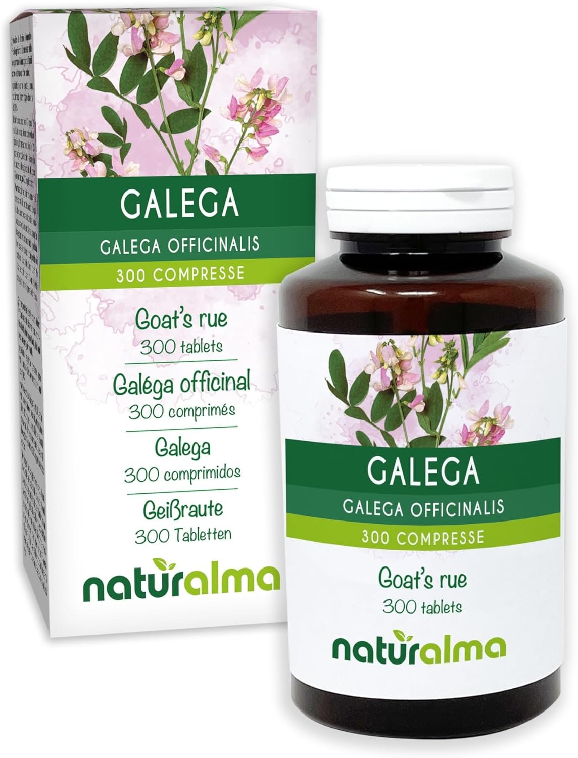 Aioneus Cavo iPhone 1M Ricarica Filo Caricatore iPhone Carica Rapida Certificato MFi Lungo Cavo Lightning USB Caricabatterie Cavetto per iPhone 11 12 13 14 Pro Max Plus Mini XS XR X 8 7 6 SE iPad