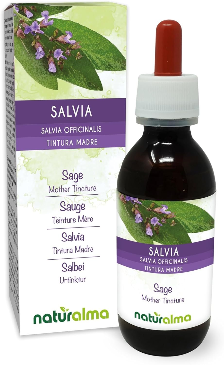 Staedtler Mars Comfort – Compasso Scuola Media Elementare e Superiore con Astuccio e Tubetto Mine Inclusi, Ideale per Cancelleria Scuola Ufficio e Cartoleria, Materiale Scolastico e Cose per la Scuola