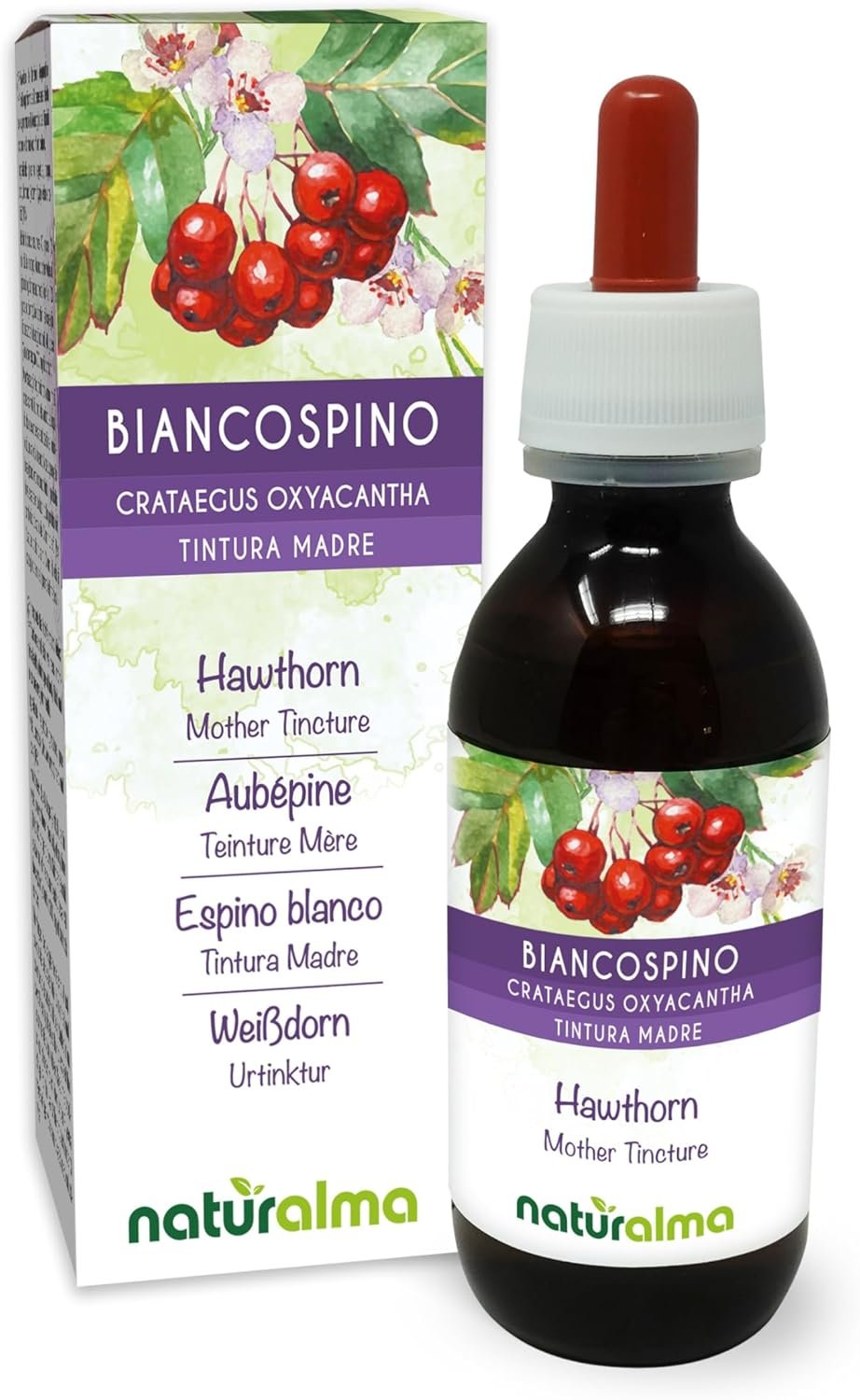 TQQ Custodia Tastiera per iPad (9a, 8a e 7a generazione), Cover con Italiano Tastiera QWERTY, per iPad 10.2″, iPad Pro 10.5″, iPad Air 3