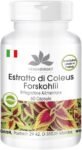 Coleus Forskohlina integratore – Estratto – con 10mg di Forskolin – 60 Capsule | HERBADIREKT by Warnke Vitalstoffe – Qualità da farmacia tedesca