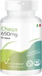 Chaga in polvere 650mg – 120 capsule, fungo, vegano | Vitamintrend®