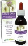 Cardo dei lanaioli o Cardo selvatico (Dipsacus fullonum o sylvestris) radici Tintura Madre analcoolica Naturalma – Estratto liquido gocce 120 ml – Integratore alimentare – Vegano