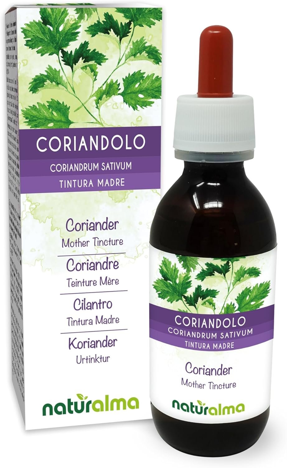 BATTERIA TECNOWARE 12V 5AH