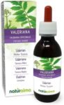 Valeriana (Valeriana officinalis) radici Tintura Madre analcoolica Naturalma – Estratto liquido gocce 120 ml – Integratore alimentare – Vegano