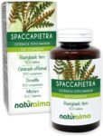 Spaccapietra o Cedracca (Ceterach officinarum o Asplenium ceterach) foglie Naturalma – 150 g – 300 compresse – Integratore alimentare – Naturale e Vegano